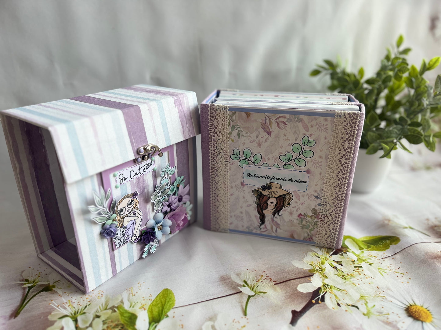 "So cute" Album photo folio et coffret